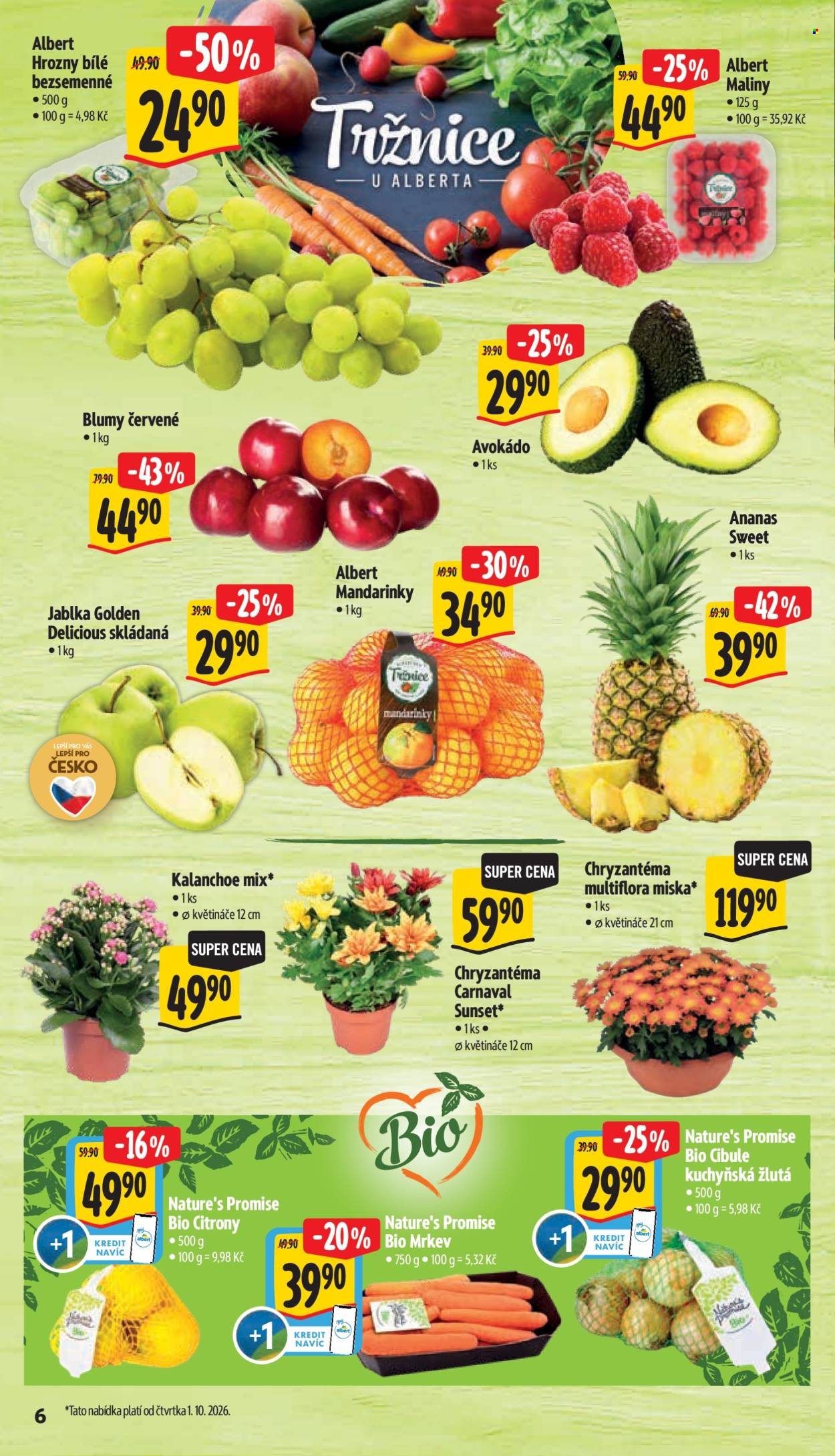 Leták Albert Supermarket - 30. 9. 2026 - 6. 10. 2026. Strana 14