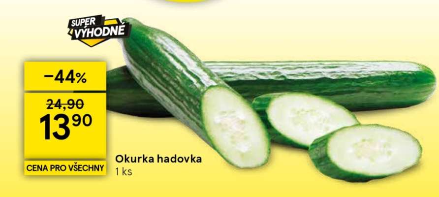 Okurka hadovka
