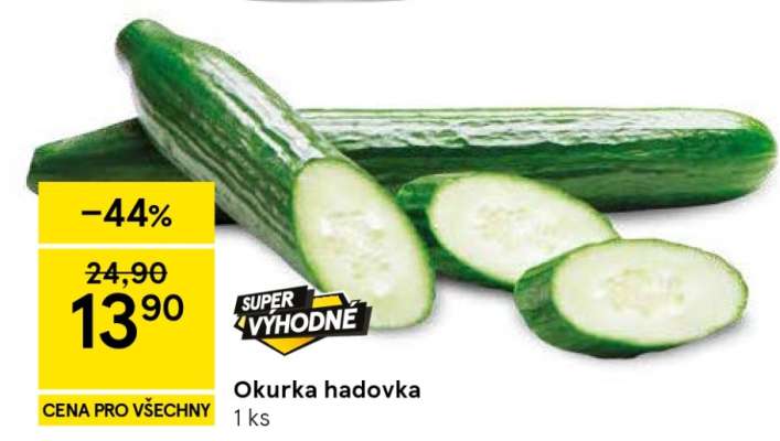 Okurka hadovka