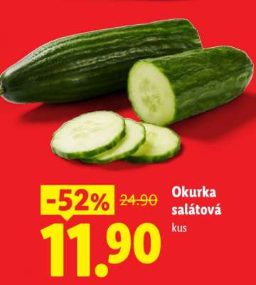 OKURKA SALÁTOVÁ