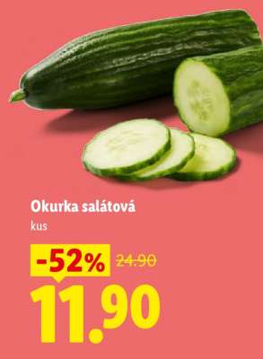 OKURKA SALÁTOVÁ