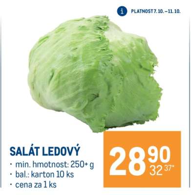 Salát ledový