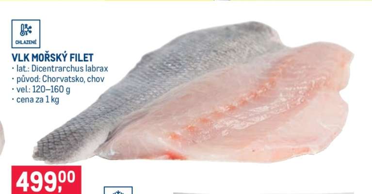 Vlk mořský filet