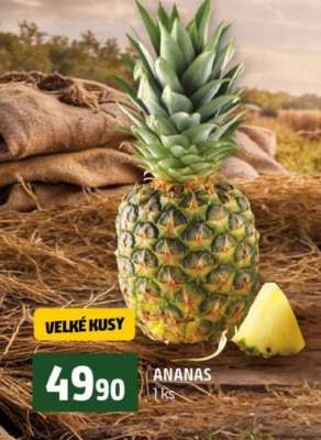 Ananas