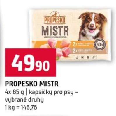 Propesko Mistr