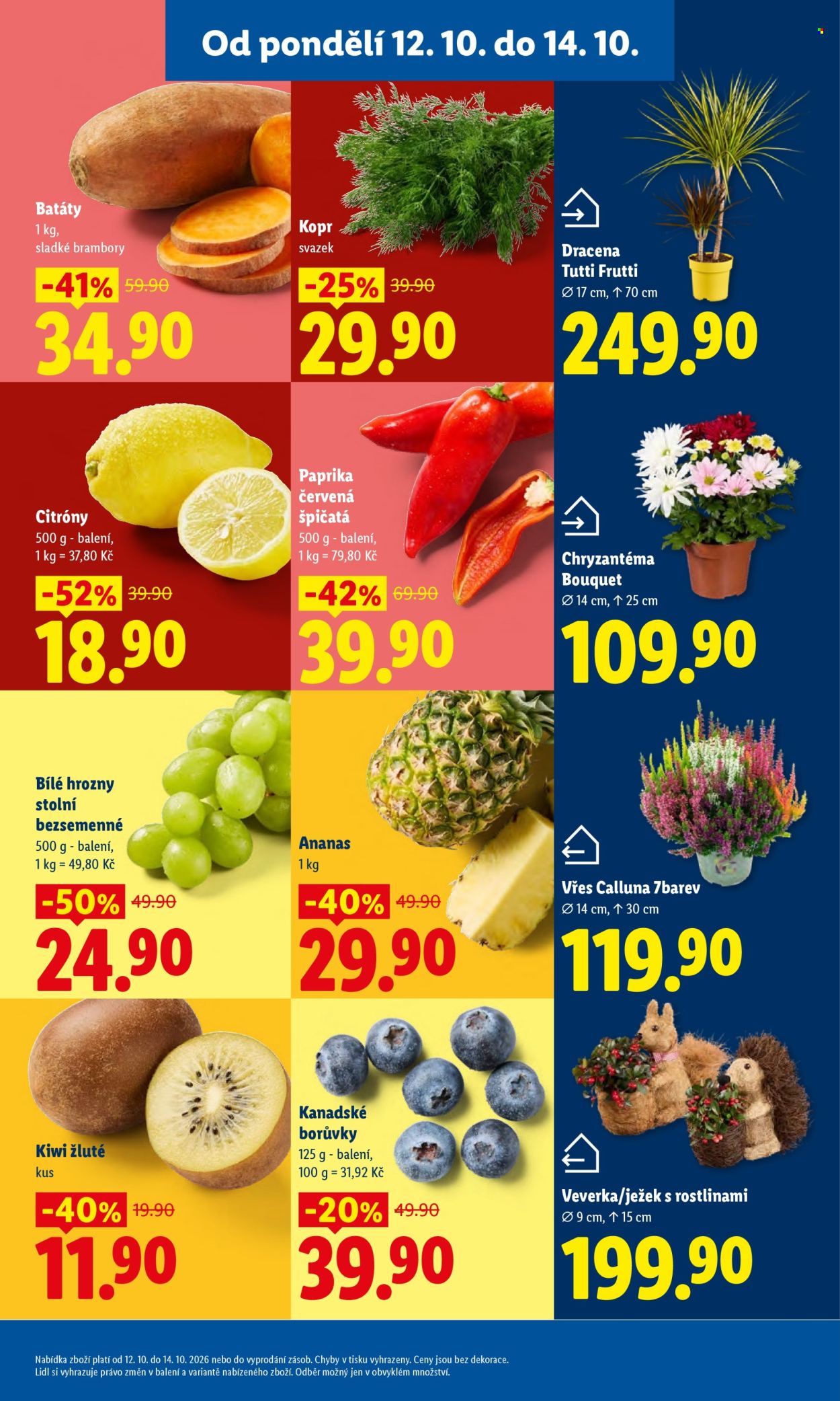 Leták Lidl - 12. 10. 2026 - 14. 10. 2026. Strana 13