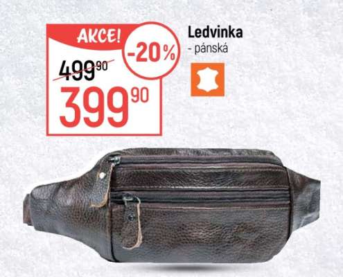 Ledvinka pánská