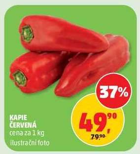 KAPIE ČERVENÁ