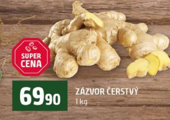 ZÁZVOR ČERSTVÝ
