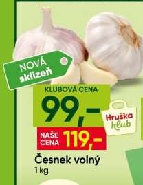 Česnek volný