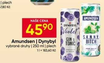 Amundsen Dynybyl