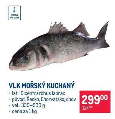 Vlk mořský kuchaný