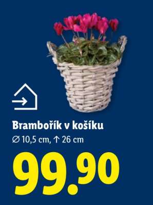Brambořík v košíku
