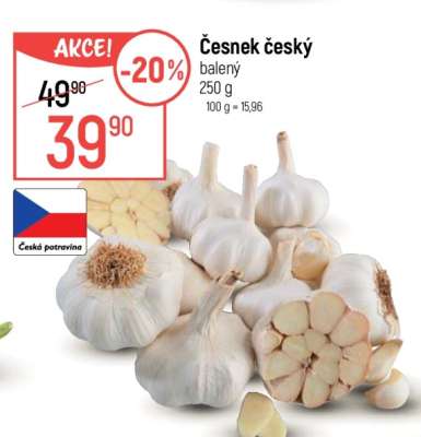 ČESNEK ČESKÝ