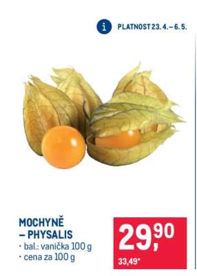 Mochyně – Physalis