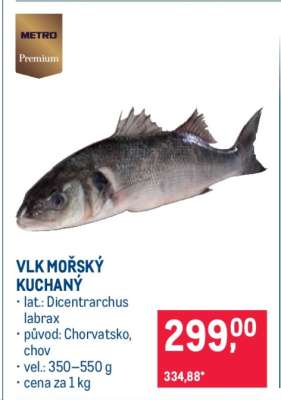 Vlk mořský kuchaný