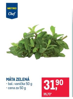 Máta zelená