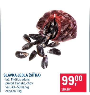 Slávka jedlá (síťka)