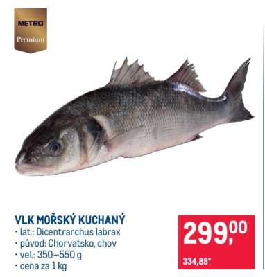 Vlk mořský kuchaný