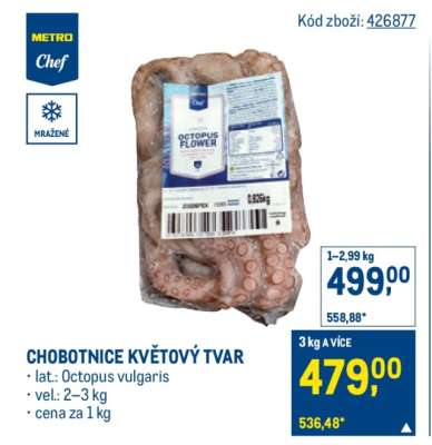Chobotnice květový tvar
