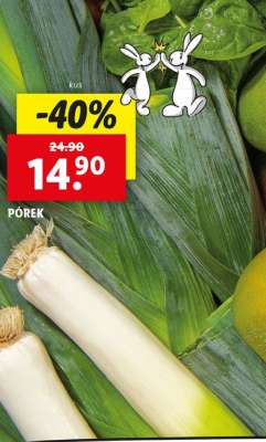 PÓREK
