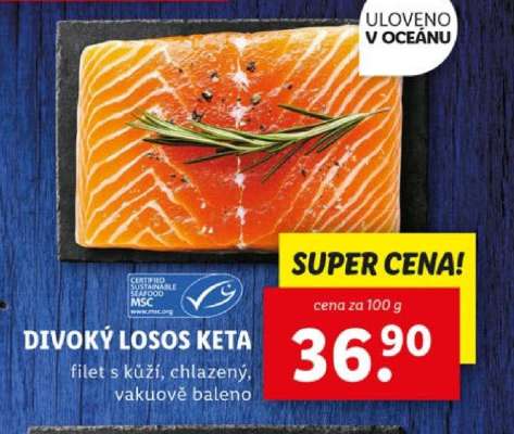 Divoký losos Keta