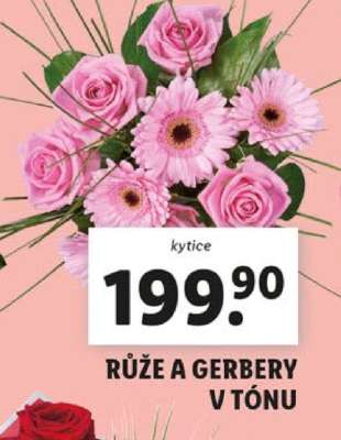 Růže a Gerbery v tónu