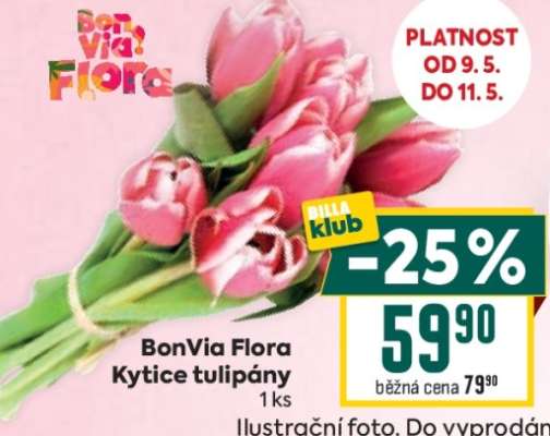 Bonvia Flora Kytice tulipány