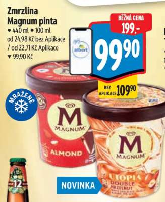 Zmrzlina Magnum Pinta