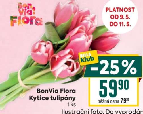 Bonvia Flora Kytice tulipány