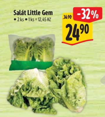Salát Little Gem