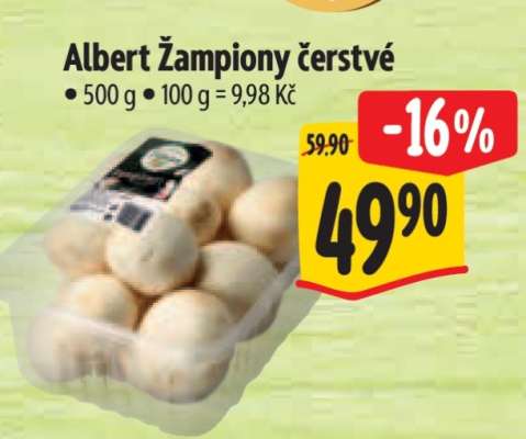 Albert Žampiony čerstvé
