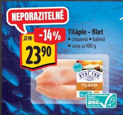 Tilápie filet