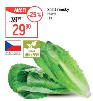 Salát římský