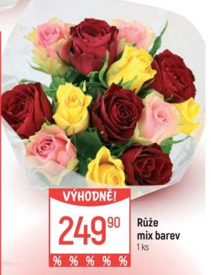 Růže mix barev
