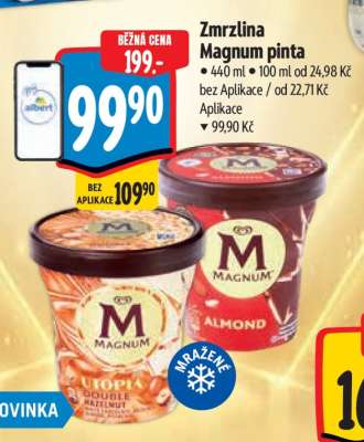 Zmrzlina Magnum Pinta