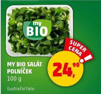 MY BIO SALÁT POLNÍČEK