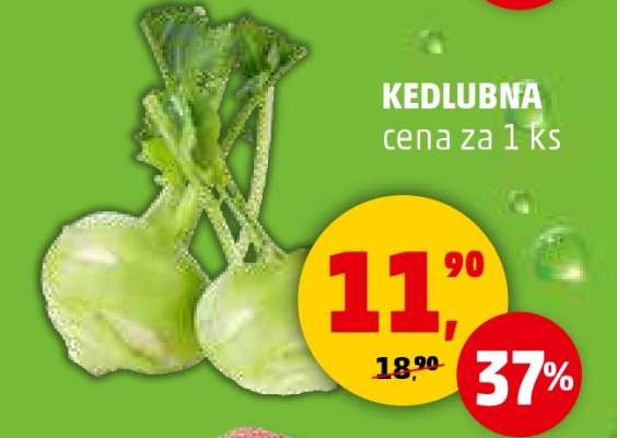 KEDLUBNA