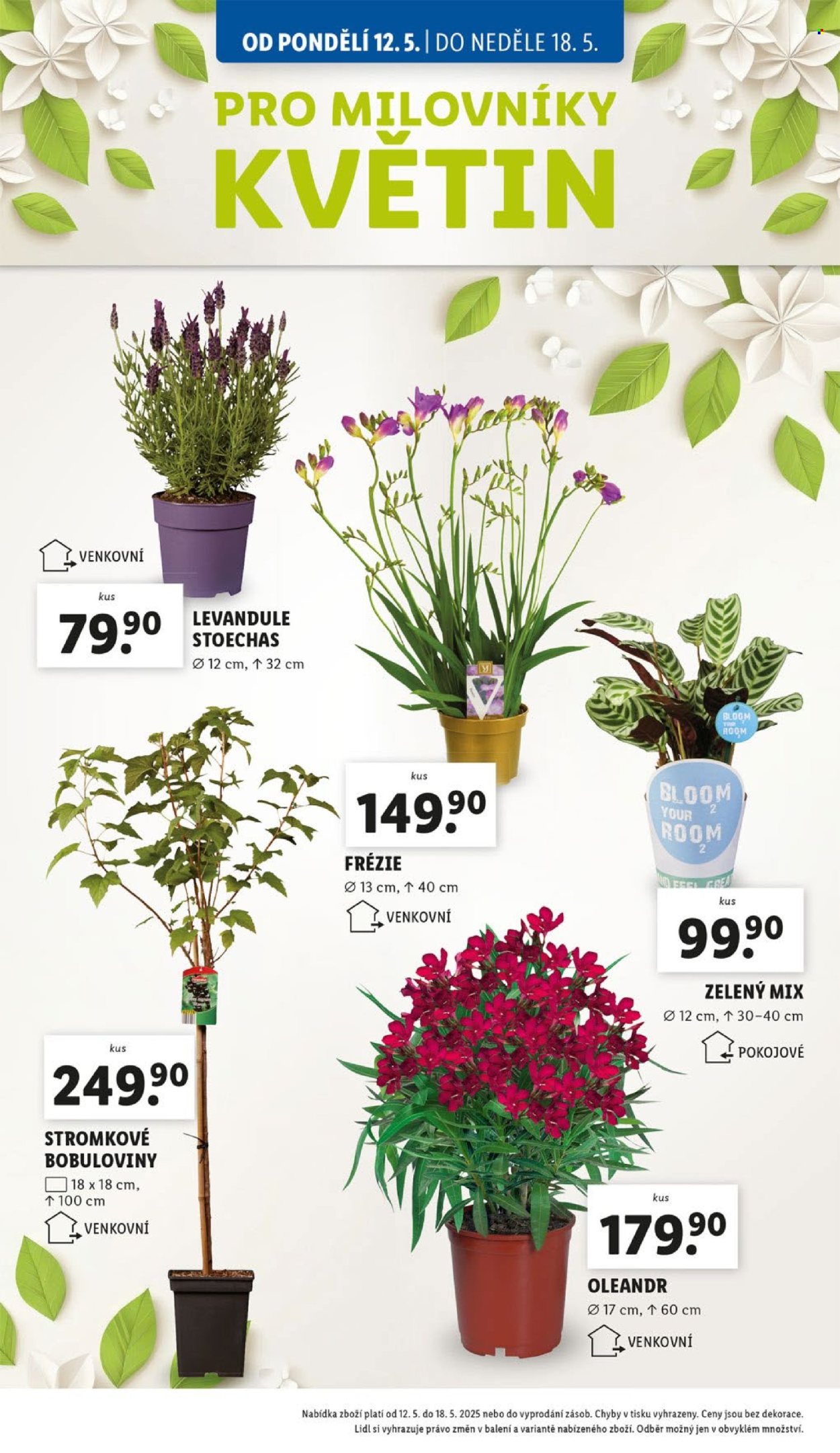 Leták Lidl - 12. 5. 2025 - 18. 5. 2025. 