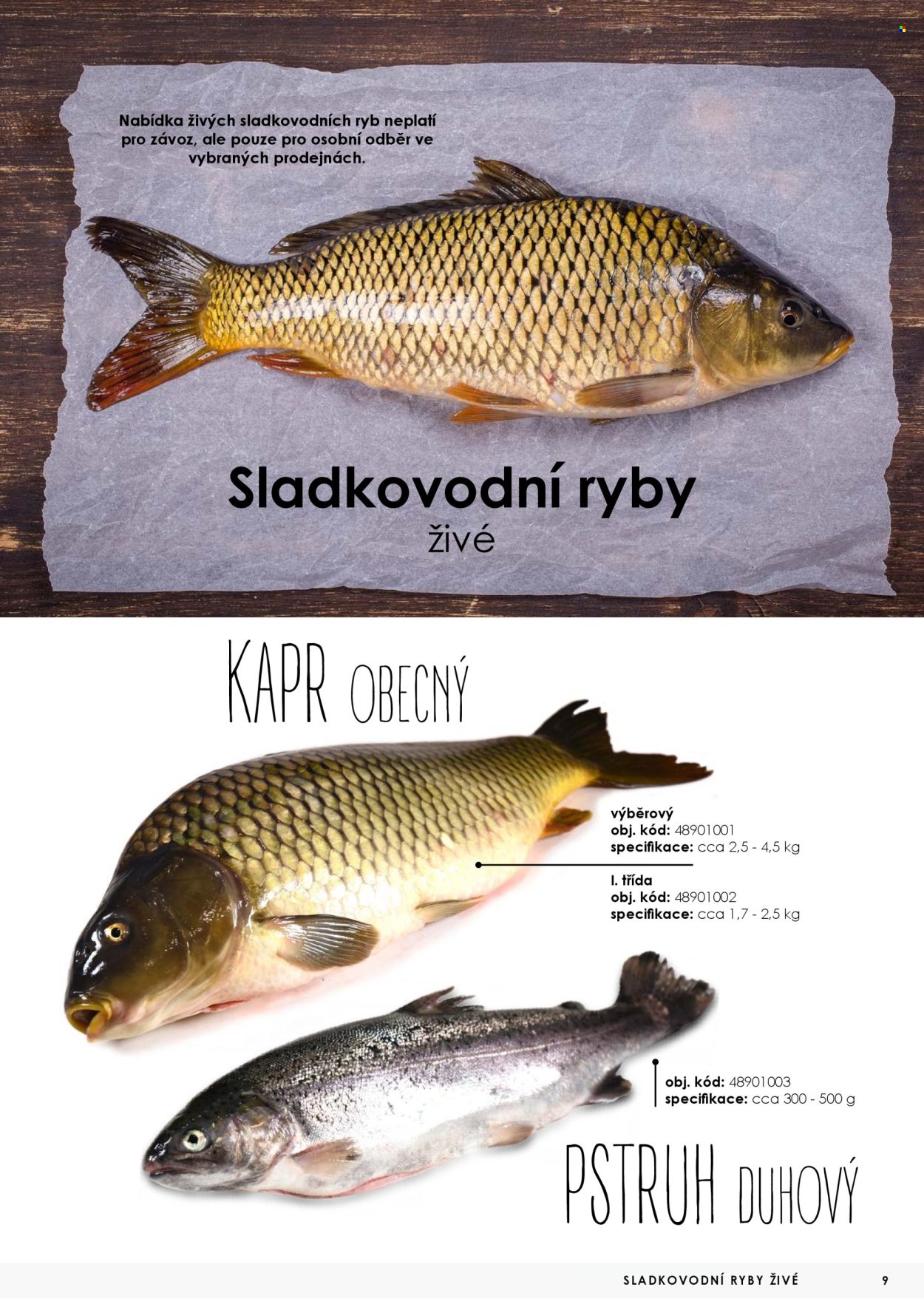 Leták JIP. 