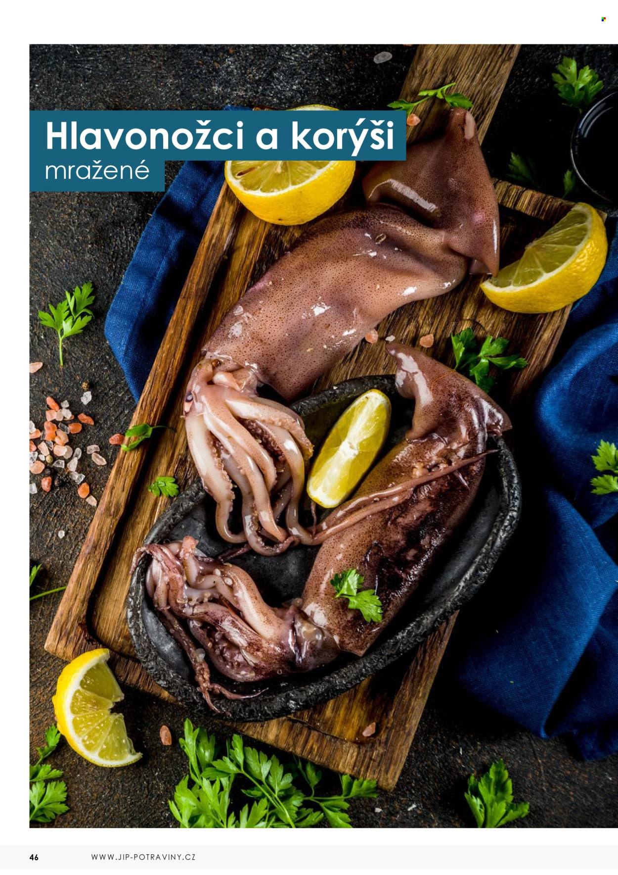 Leták JIP. 