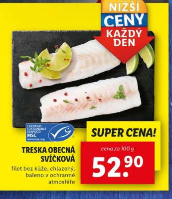 TRESKA OBECNÁ SVÍČKOVÁ