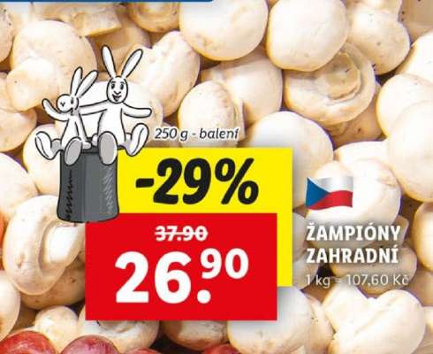 ŽAMPIONY ZAHRADNÍ