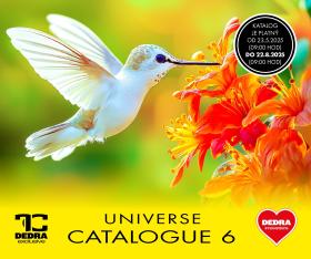 Dedra - Universe