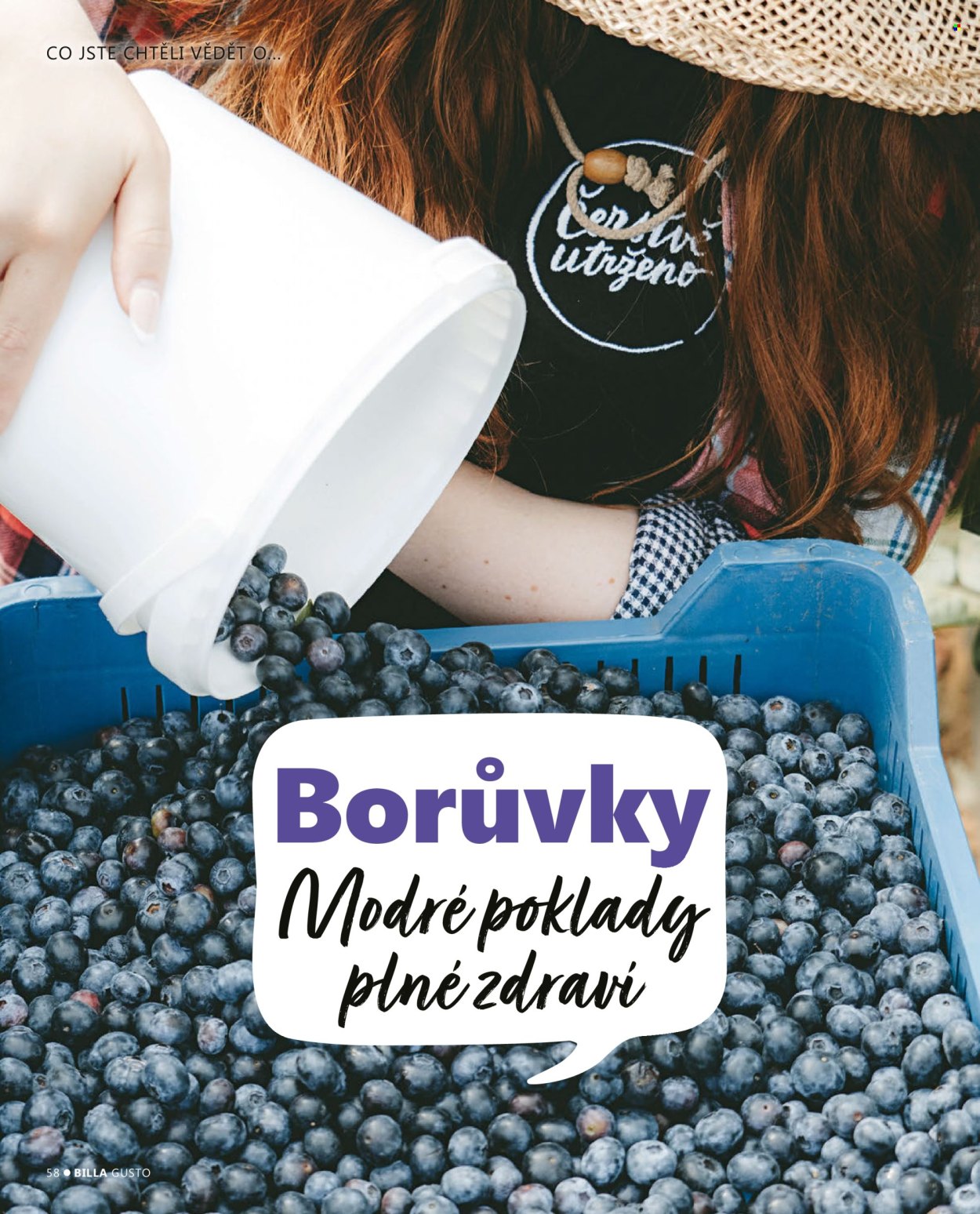 Leták BILLA. Strana 58