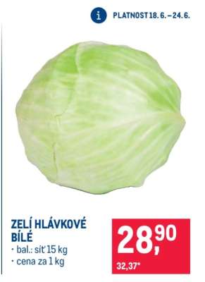 Zelí hlávkové bílé