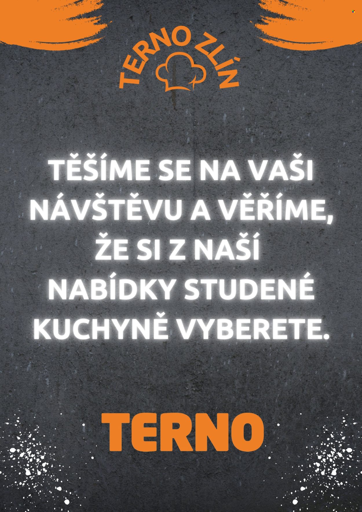 Leták coop TERNO - 3. 7. 2025 - 31. 12. 2026. Strana 17