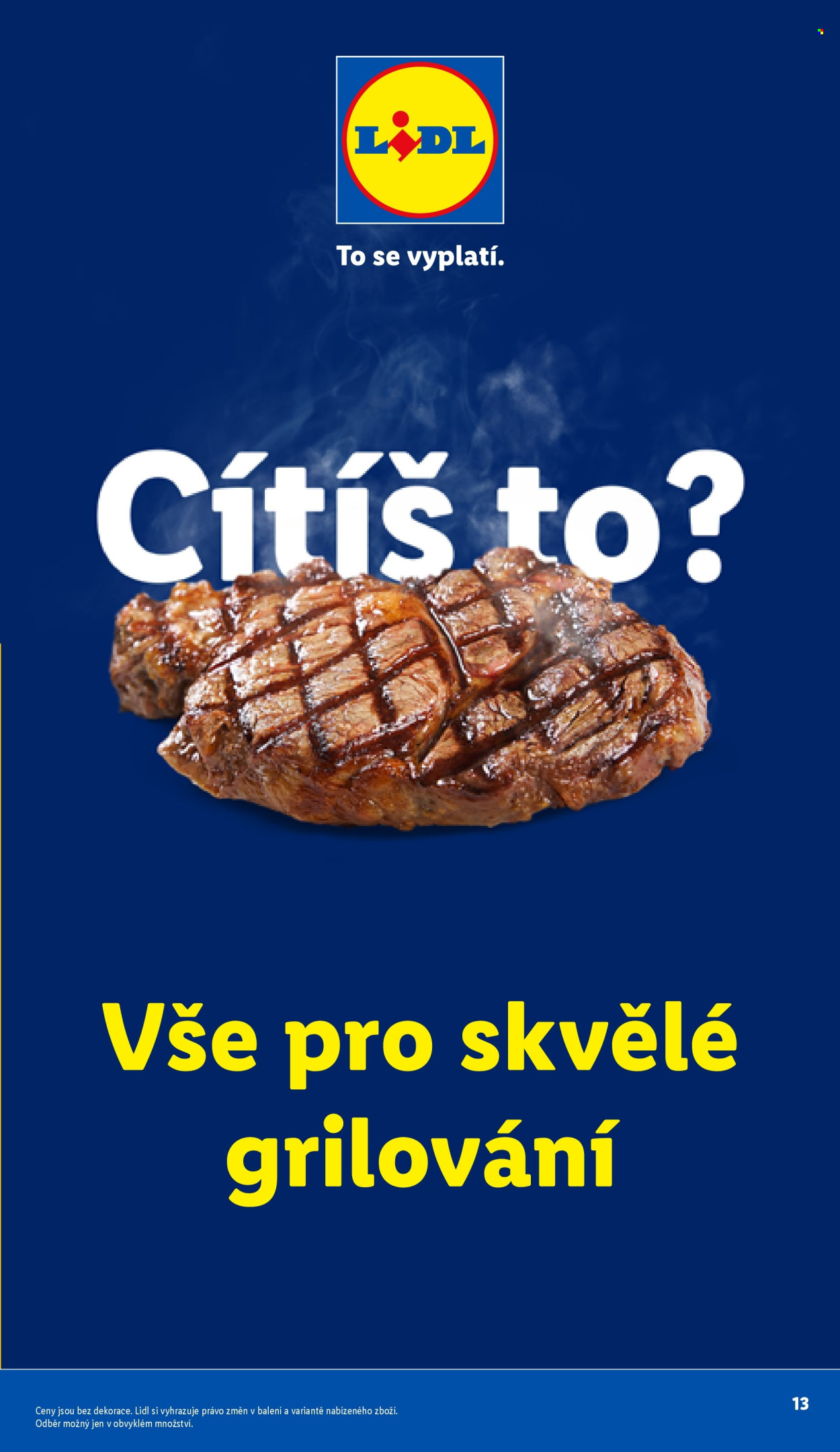 Leták Lidl. Strana 13