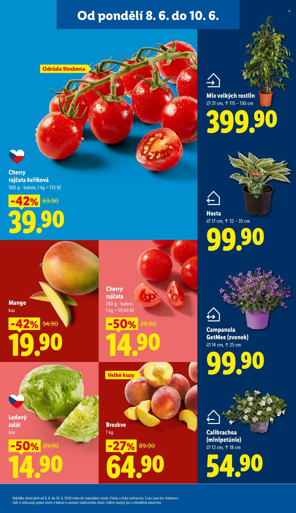Leták Lidl - 8. 6. 2026 - 10. 6. 2026. Strana 13