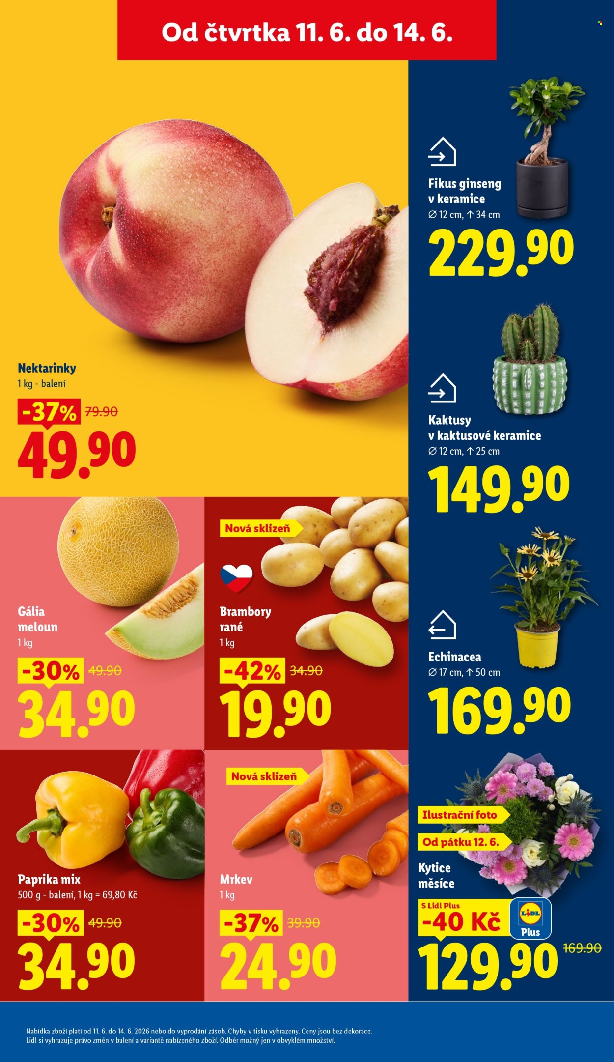 Leták Lidl - 11. 6. 2026 - 14. 6. 2026. Strana 13